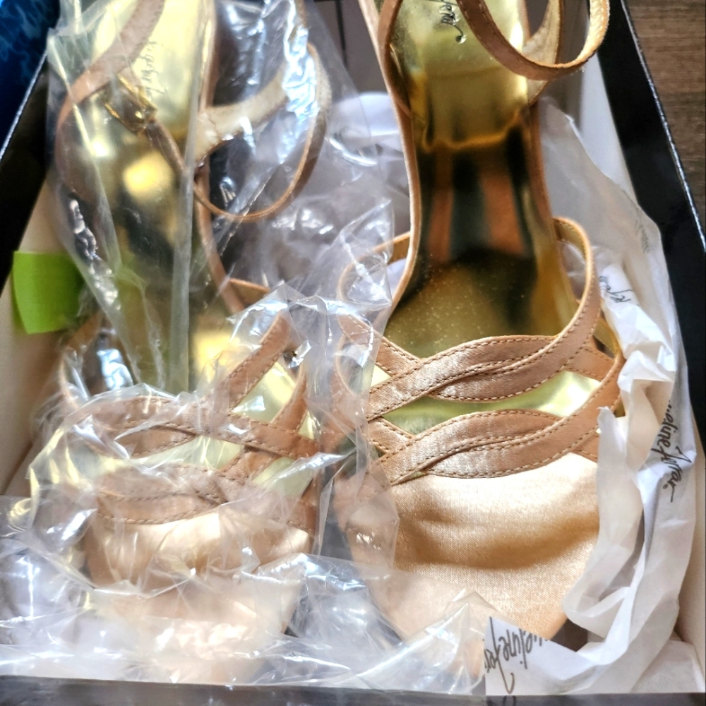 Ladies satin dress shoes